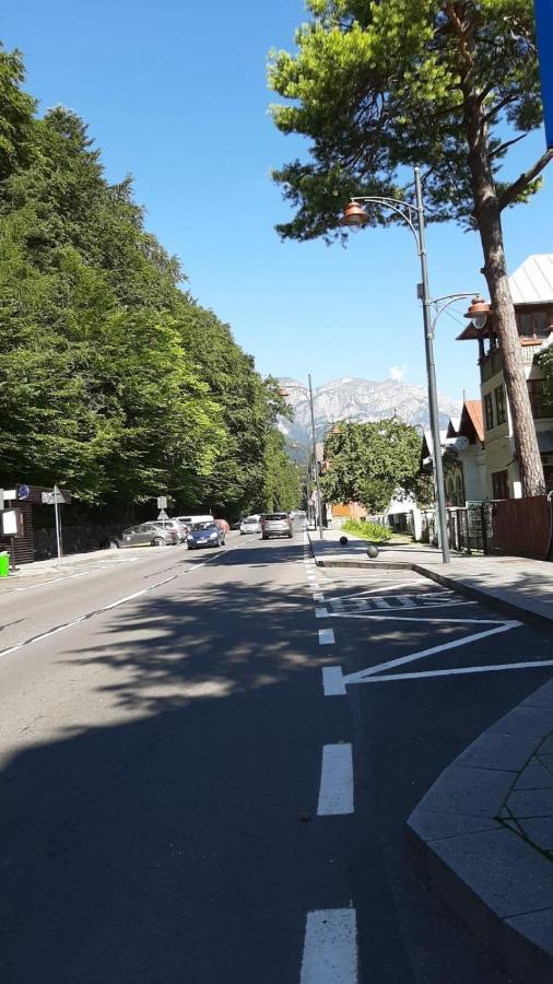 Monik Apartament Sinaia Exterior foto