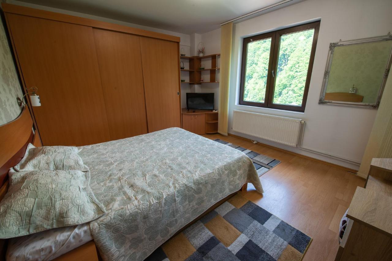 Monik Apartament Sinaia Exterior foto